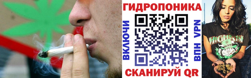 Конопля OG Kush  Купить  Сибай 